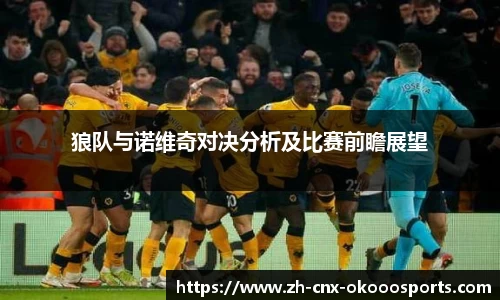 狼队与诺维奇对决分析及比赛前瞻展望