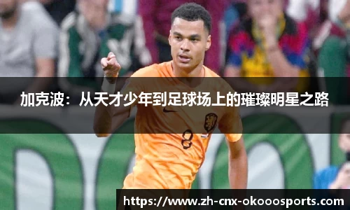 加克波：从天才少年到足球场上的璀璨明星之路